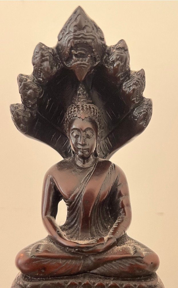 Buddha Statur, Nagaraja Buddha, Meditation