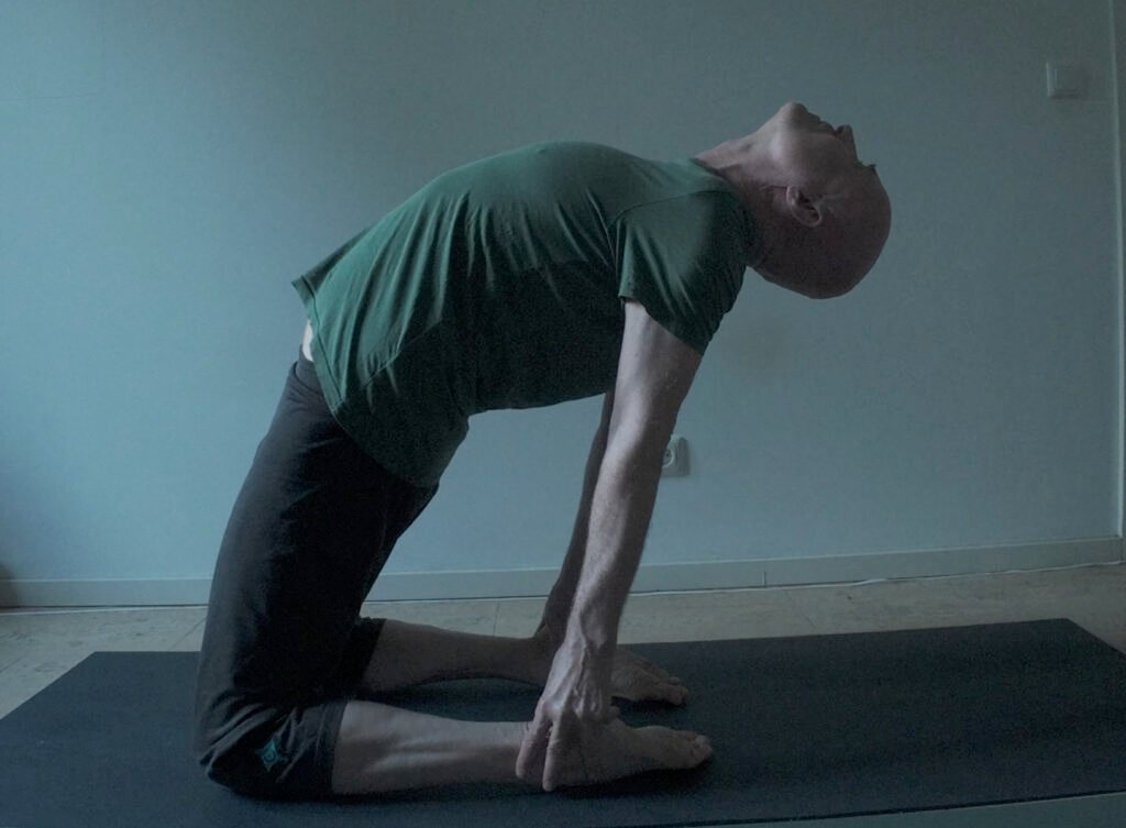 camel-pose
